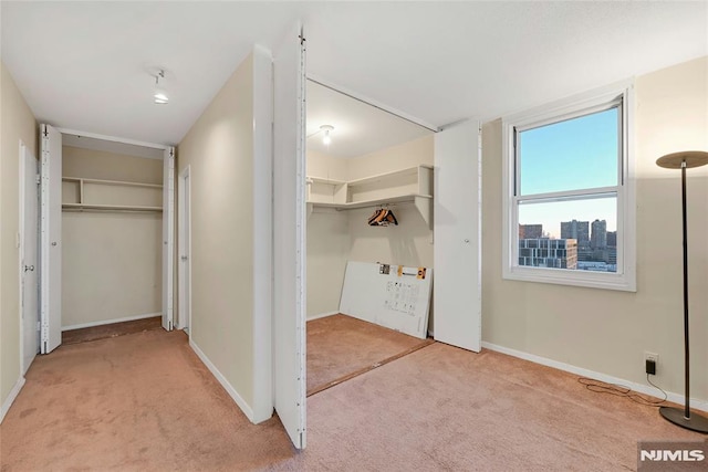 interior space featuring carpet floors