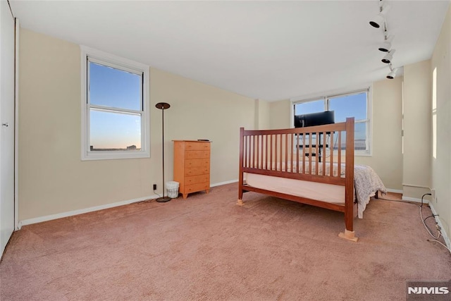 bedroom with light colored carpet, rail lighting, and multiple windows