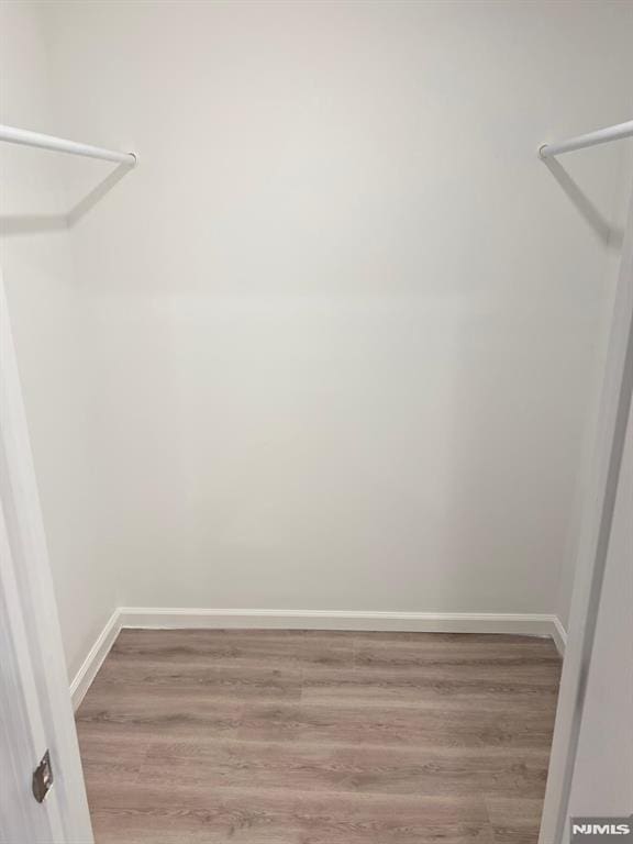 spacious closet with wood-type flooring