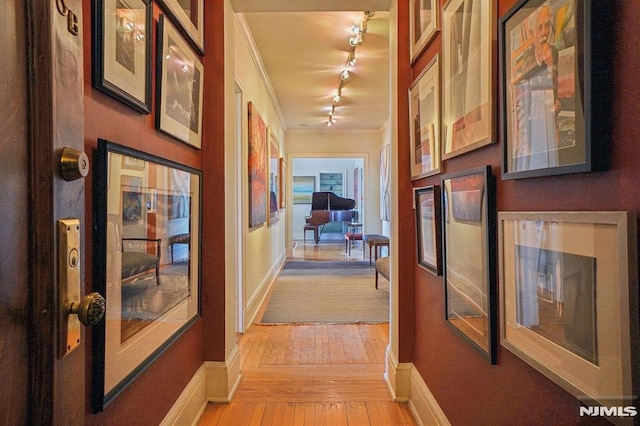 corridor featuring crown molding, rail lighting, and light hardwood / wood-style flooring