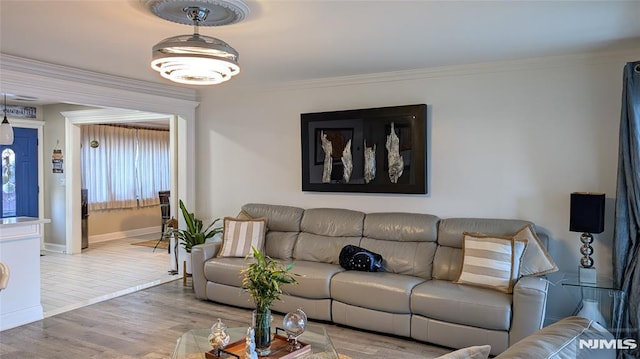 living room featuring crown molding and hardwood / wood-style flooring