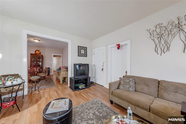 living room featuring hardwood / wood-style floors