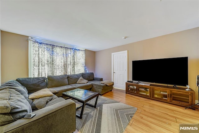 living room with wood-type flooring