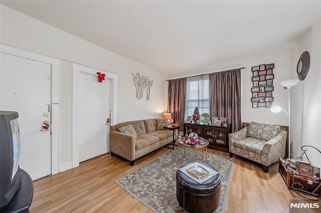 living room with light wood-type flooring