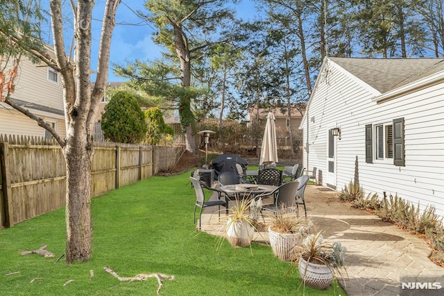 view of yard featuring a patio