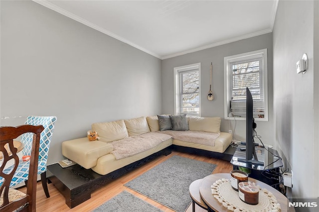 living room with wood-type flooring and ornamental molding