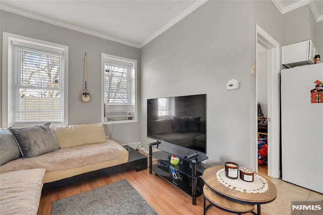 living room featuring crown molding and light hardwood / wood-style flooring