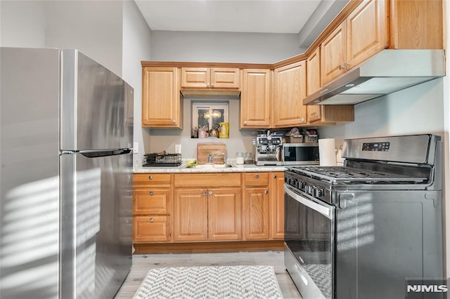 kitchen with light stone counters, sink, stainless steel appliances, and light hardwood / wood-style floors