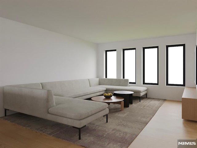 living room featuring hardwood / wood-style floors