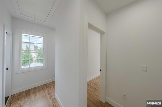 corridor featuring light hardwood / wood-style flooring