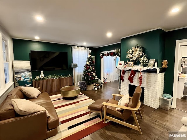 living room with crown molding, a fireplace, and dark wood-type flooring