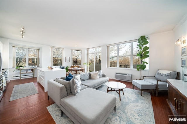 living room with a baseboard radiator, a wall unit AC, a wealth of natural light, and dark hardwood / wood-style floors