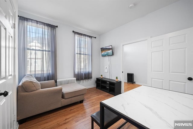 bedroom with hardwood / wood-style flooring and radiator