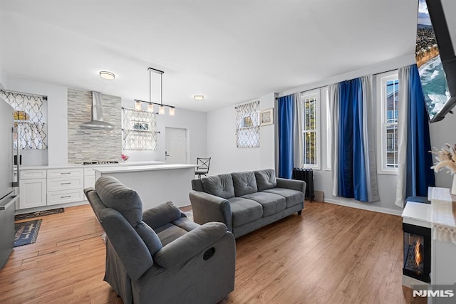 living room with light hardwood / wood-style floors and radiator heating unit