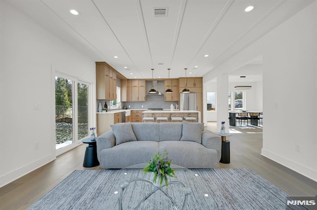 living room featuring dark hardwood / wood-style floors, a wealth of natural light, and sink