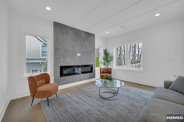 living room featuring a fireplace and hardwood / wood-style flooring