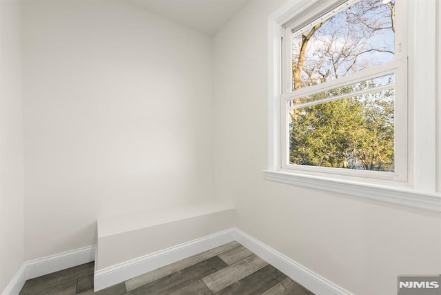 mudroom featuring dark wood-type flooring