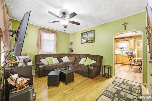 living room featuring ceiling fan, a textured ceiling, a wealth of natural light, and light hardwood / wood-style flooring