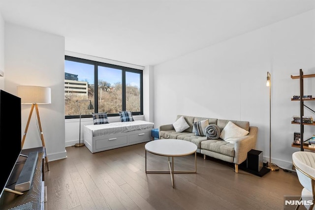 living room with wood-type flooring