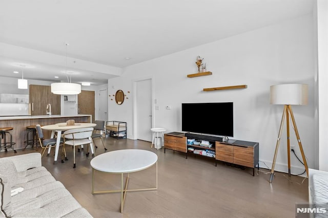 living room featuring sink and hardwood / wood-style flooring