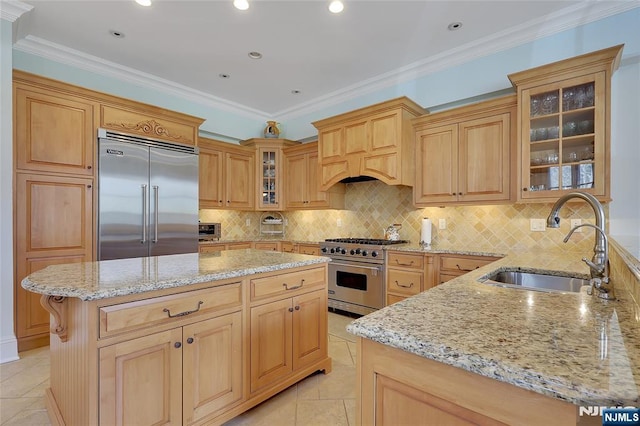 kitchen with high end appliances, light stone countertops, sink, and a kitchen island