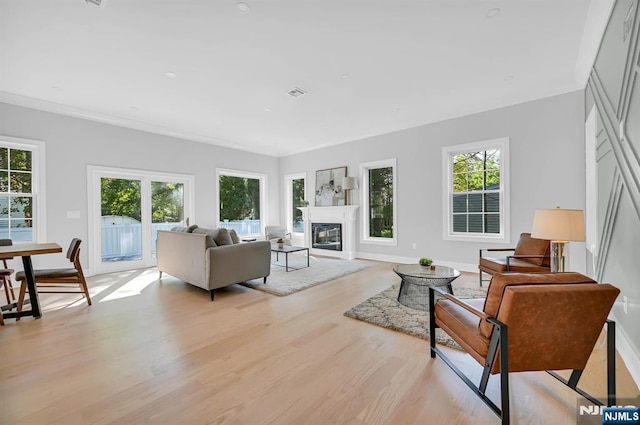 living room featuring light wood-type flooring, a glass covered fireplace, and a healthy amount of sunlight