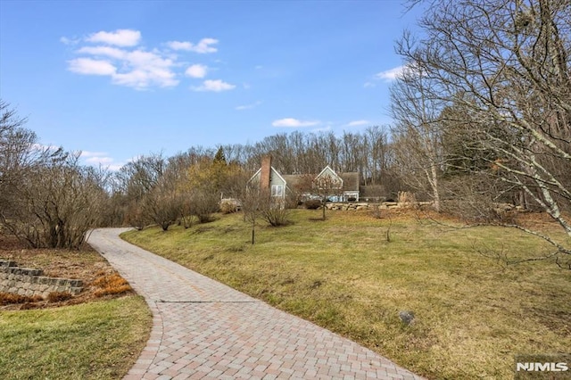 view of property's community featuring a lawn