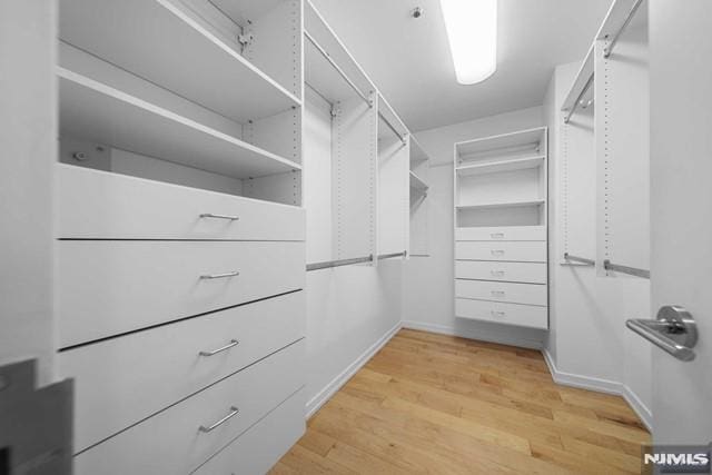 spacious closet featuring light hardwood / wood-style floors