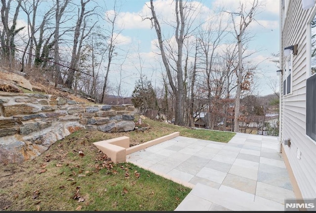 view of yard featuring a patio