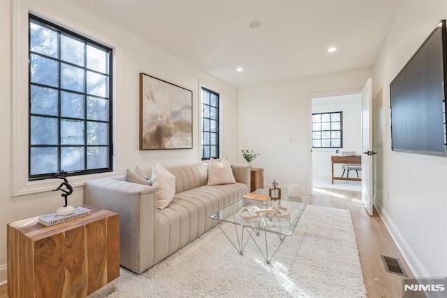 living room featuring light wood-type flooring