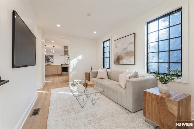 living room featuring light hardwood / wood-style flooring