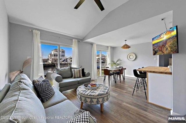 living room with wood-type flooring and lofted ceiling