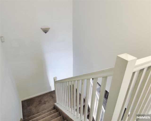 staircase with carpet floors