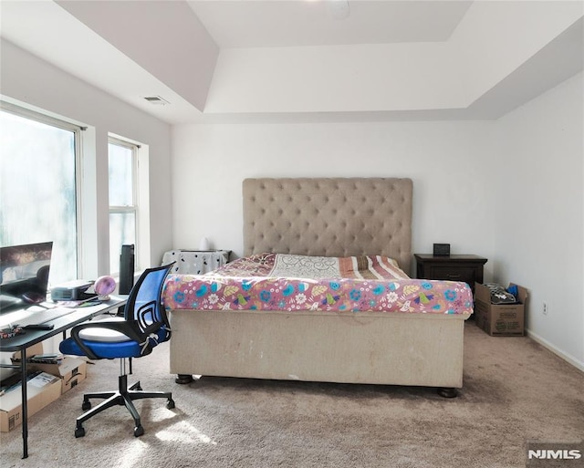 carpeted bedroom featuring a tray ceiling