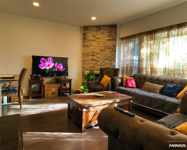 living room featuring hardwood / wood-style floors