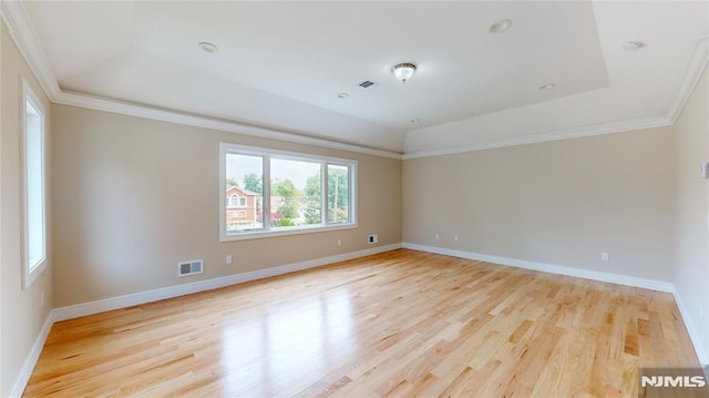 spare room with light hardwood / wood-style floors, a wealth of natural light, and a tray ceiling