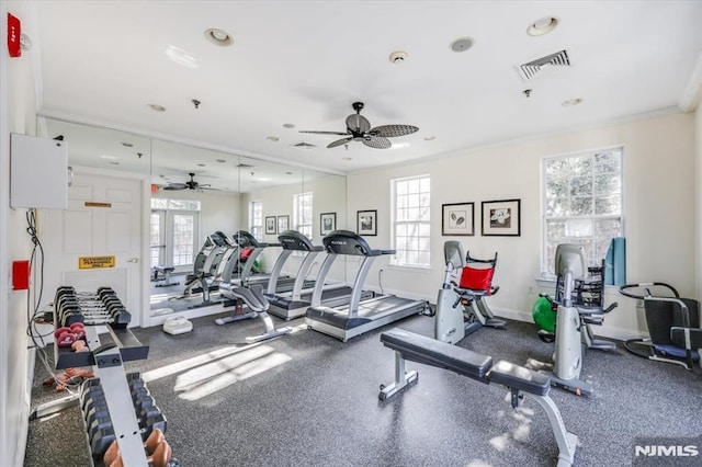 exercise room with ceiling fan, ornamental molding, french doors, and a healthy amount of sunlight