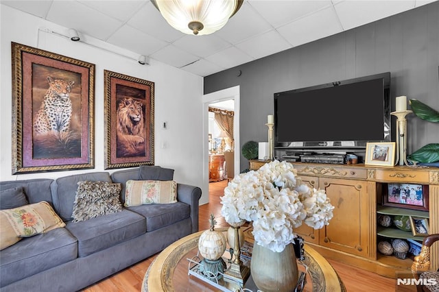 living room with a drop ceiling and light hardwood / wood-style floors