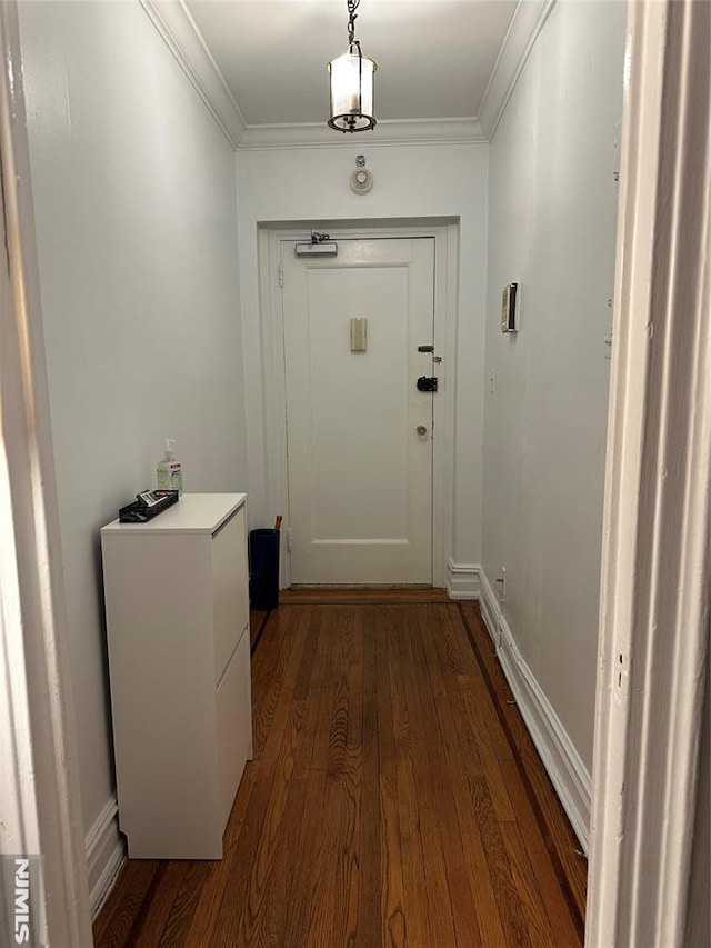 doorway featuring ornamental molding and dark hardwood / wood-style floors