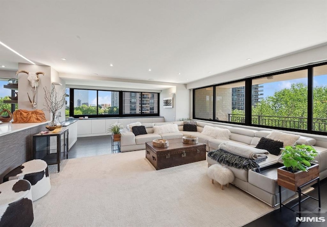 living room featuring plenty of natural light