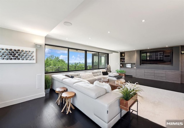 living room featuring dark hardwood / wood-style floors and built in shelves