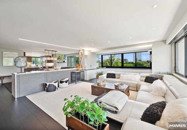 living room featuring a wealth of natural light and wood-type flooring