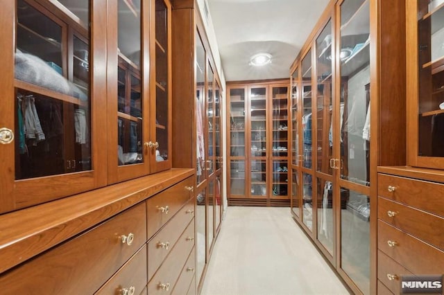 spacious closet featuring french doors