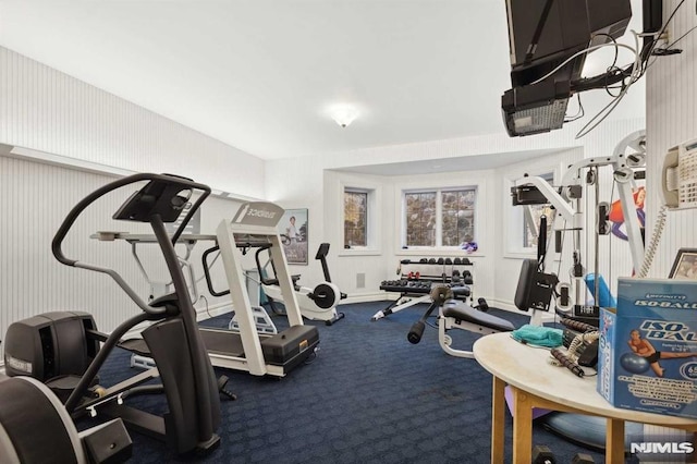 exercise area featuring carpet