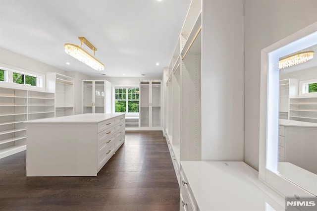 walk in closet with dark wood-type flooring