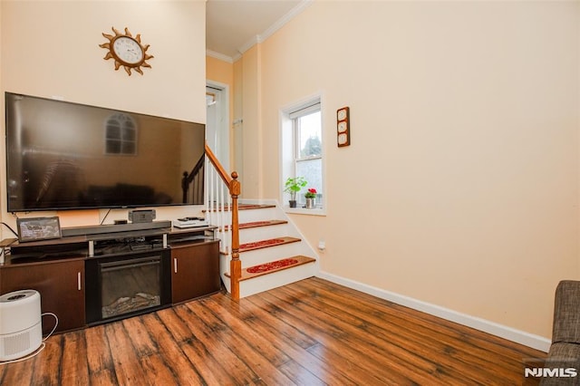 interior space featuring hardwood / wood-style flooring and crown molding