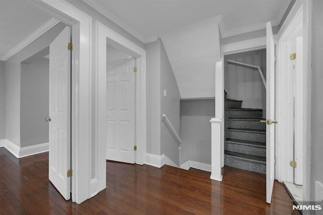 interior space featuring dark hardwood / wood-style flooring