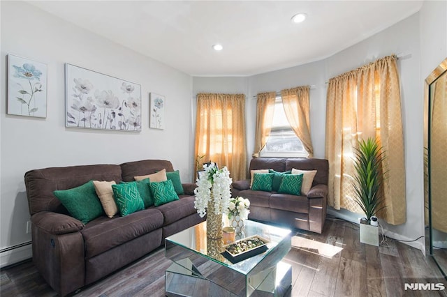 living room with a baseboard radiator and dark wood-type flooring