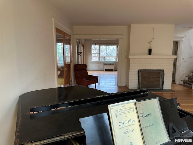 room details featuring a brick fireplace, hardwood / wood-style flooring, and radiator