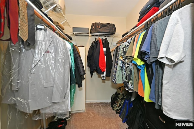 walk in closet featuring carpet floors